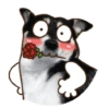 ANJINK 9