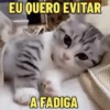 REAÇÕES FELINAS 😺 13