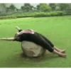 Indian politics 8
