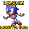 SONIC  13