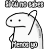 FLORK Confundido ⁉️🤔 15