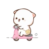 Kucing Gemoy 13