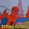 Memes do miranha 9