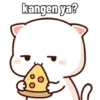 Peach Cat (2) 6
