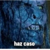 haz caso