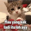 Ayang akooh 8