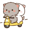 Meong bucin 6