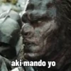 aki mando yo