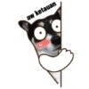 ANJINK 13