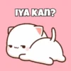 Peach Cat Sayang 14