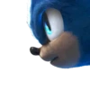 SONIC  15