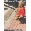 Mammt italiana 12