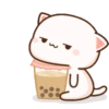 Peach cat 18