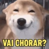 Usa aí pra reagir 5