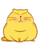 Michi Gordo :3🐱💖 10
