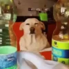 Misturar Animado 6