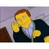 The simpsons 27
