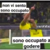 Mammt italiana 21