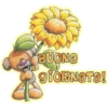 Buongiorno 18