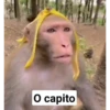 Mammt italiana 11