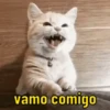 Você já tem essas 6
