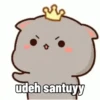 Peach Cat (6) 7