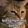 Você já tem essas 7