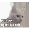 Gatau mls ucul bgt😳 12
