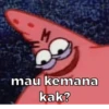 Patrickstar 6