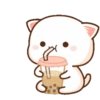Peach cat 19
