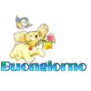 Buongiorno 14