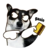 ANJINK 12