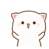 Peach cat 5