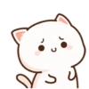 Peach cat 27