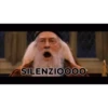 Harry Potter Italiani 19