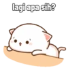 Peach Cat (6) 10
