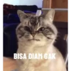 Dunia Kucinggg🐱 7