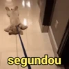 Salva esses memes aí 🤪 14