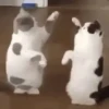 ура для вас и меня 7