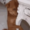 Memes & memes   8