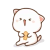 Kucing Gemoy 8