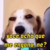 Memes para reagir ✨ 5