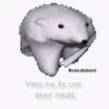 ✨Misceláneos Random🌿 13