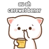 Peach Cat (6) 18