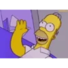 The simpsons 12