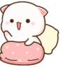 Peach cat 10