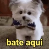 Reações fofinhas 🥰 8