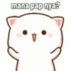 Peach Cat (6) 13