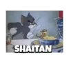 Tom and Jerry 5