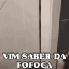 REAÇÕES FELINAS 😺 12
